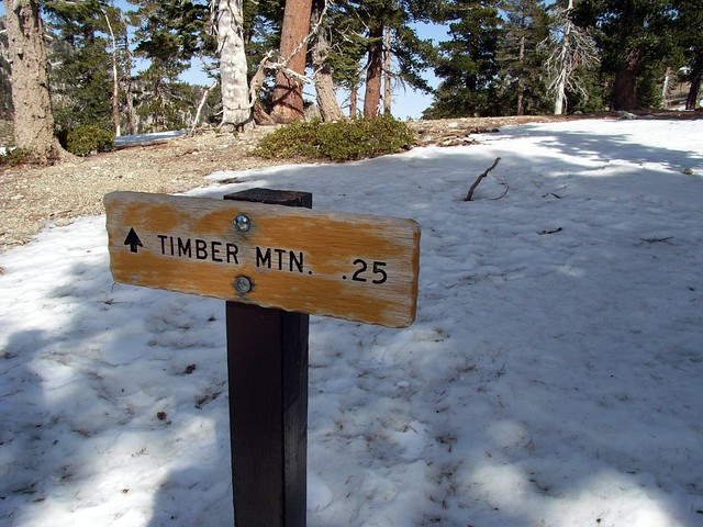 That Way to Timber Mountain