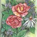 Rose florral