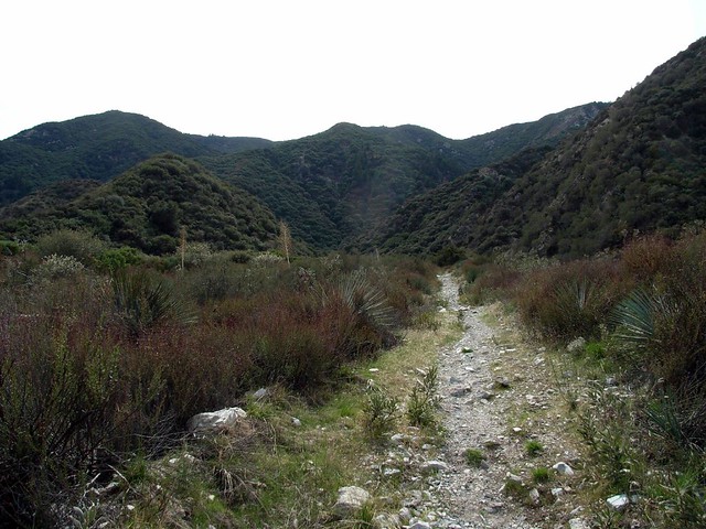 Stone Canyon Trail