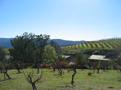 santa cruz mountains ridge vineyards