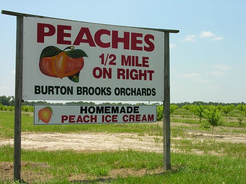 A Peachy Roadside Stop