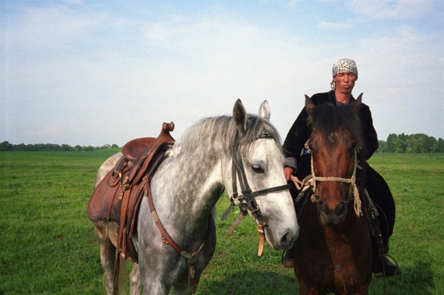 Konie Kazachstan