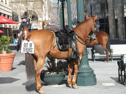 San Jose police horse: Out of service