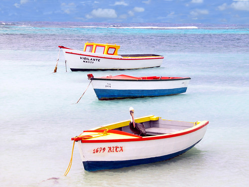 Aruba Boats & Pelican by msprago