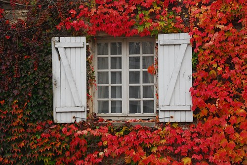 Farmhouse window in Burgundy