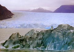 Glacier Cruise, Chile