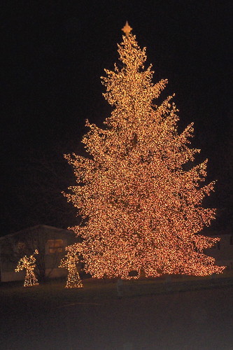 Lighted Christmas Tree in yard of a manufactured home