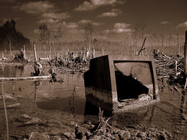 Swamp TV.