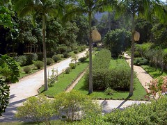 Jardim Botânico / Botanical Garden