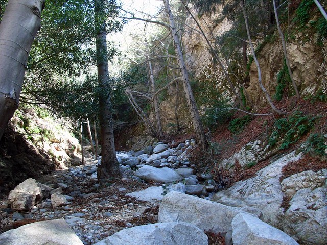 Bear Canyon Trail 015
