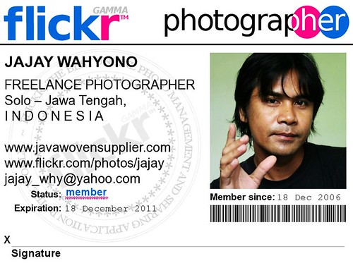 my photo card