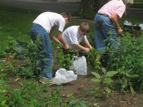 Youth Gardening 2006