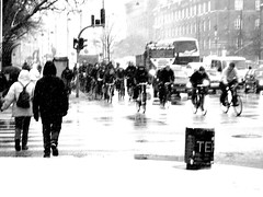 Snowstorm Rushhour - Cycling in Winter in Copenhagen
