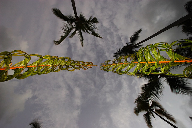 Just a cool shot from under the Wedding Arch made of palm fronds