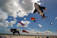 kite festivals