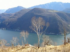 Lago di Lugano ,dal m.Derta