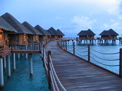 Maldives ViluReef