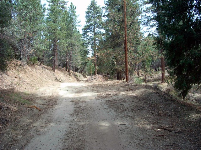 Mooney Trail