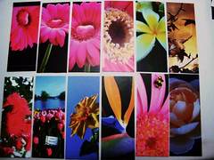 Flickr: Moo Cards