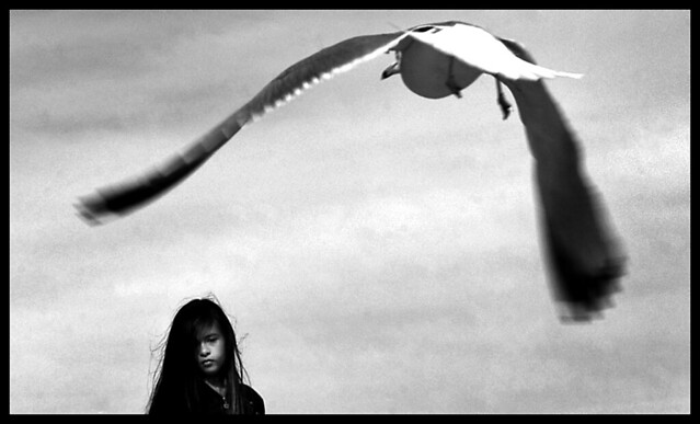 Grow wings and take flight - The Decisive Moment in Street Photography