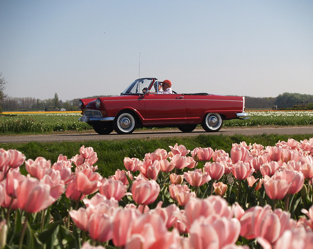 DKW F12 roadster Auto Union The annual Hyacinthus ride was too late this 