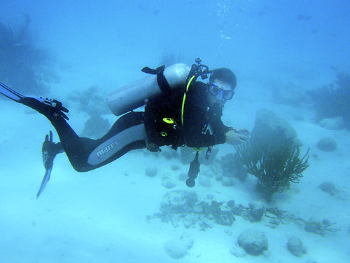 Diver at Bonaire
