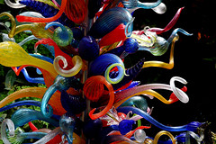 flowers & art - Chihuly at Fairchild Tropical Gardens