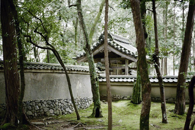 Moss Temple