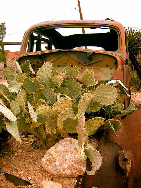 Old Rusty Car Cactus Garden I drove out to Calico Basin today