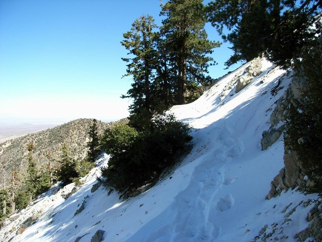 Snowy Ascent