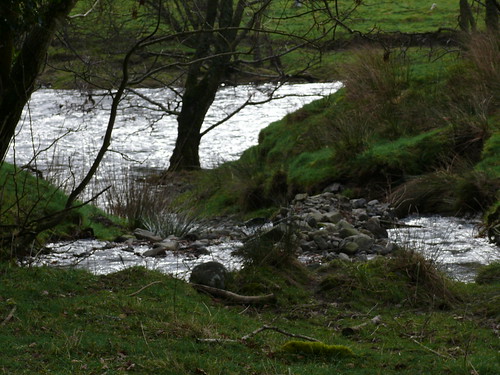 River Wye 2