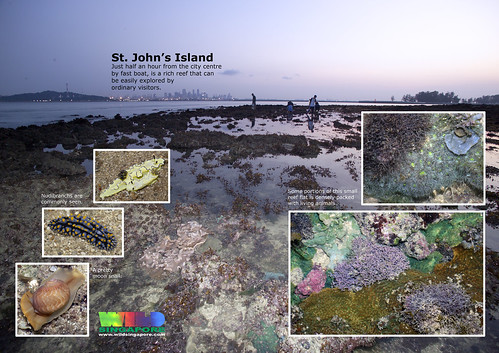A4 Poster: St John's Island