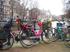 pictures from amsterdam