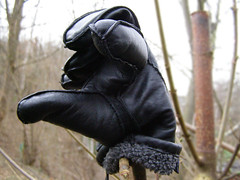 Lost gloves, mittens and shoes