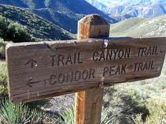 Condor Peak via Trail Canyon 030