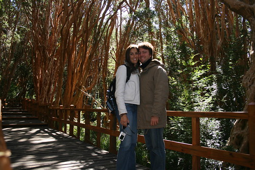 Con Gemma en el Bosque de Arrayanes