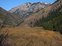 Logan Canyon Utah