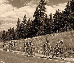 bike racing archive