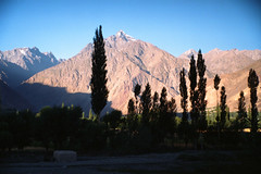 Pakistan 1994