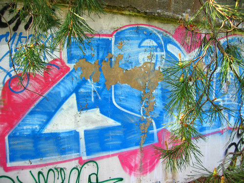 Graffiti Through the Pines