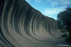 Australian landscapes/flora (1986-2001)