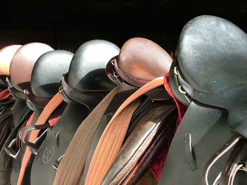 Saddles at Gill Lane 2
