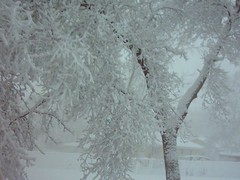 March 13 Blizzard