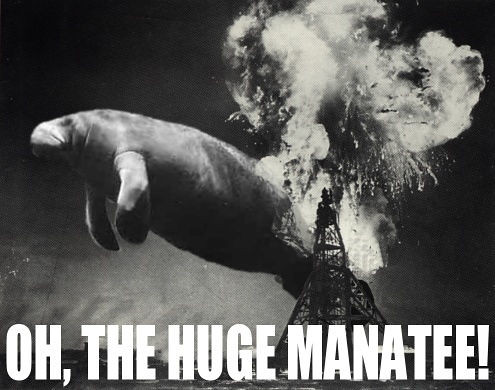 Oh, the huge manatee!