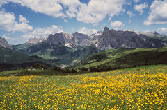 The Dolomites 2003