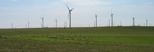 Inner Mongolian Grassland