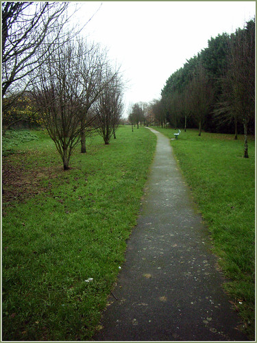 Path along the old line