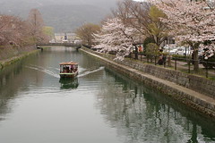 Kyoto Walking, April 2007