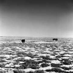 northern new mexico, 1957 (1957-240-34)