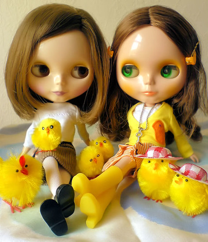 family of chicks by mae and blythe